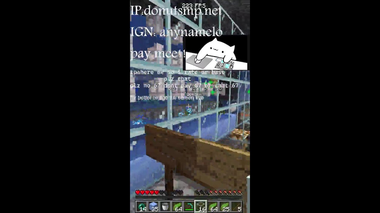 Minecraft donut smp rating bases and giving away money  (Portrait)