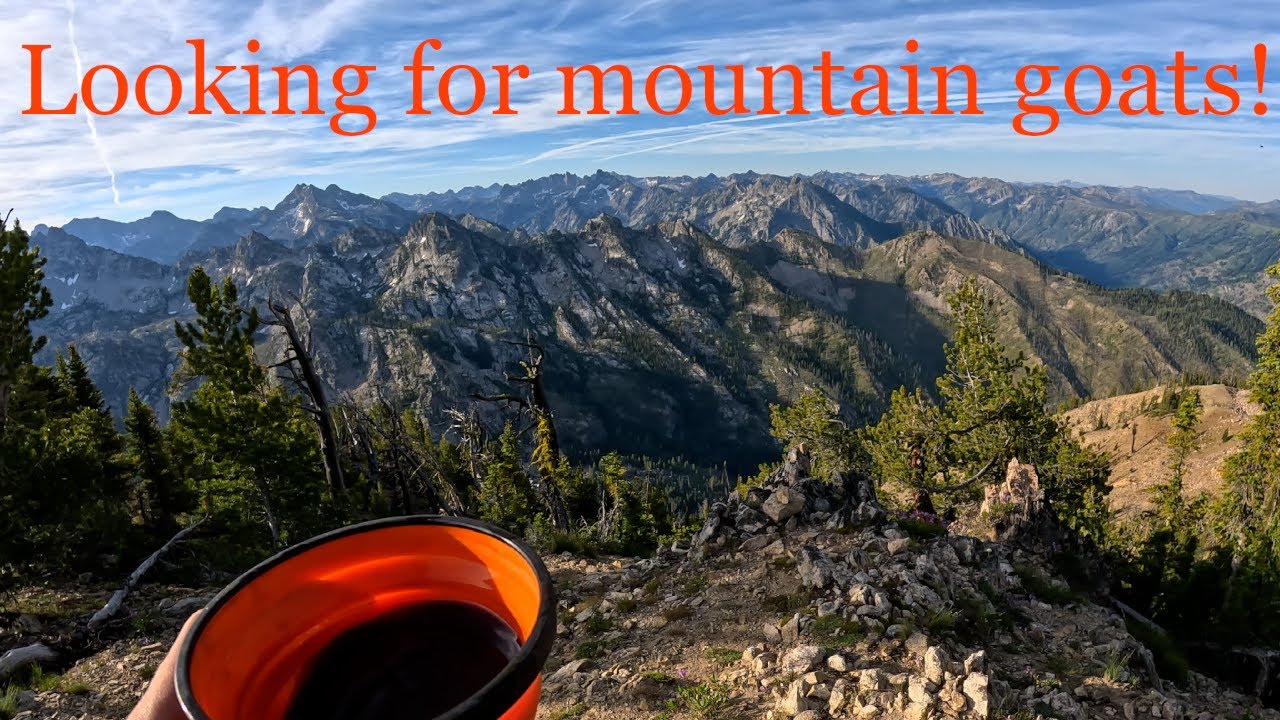 Surprise pack additions and a big hike!
