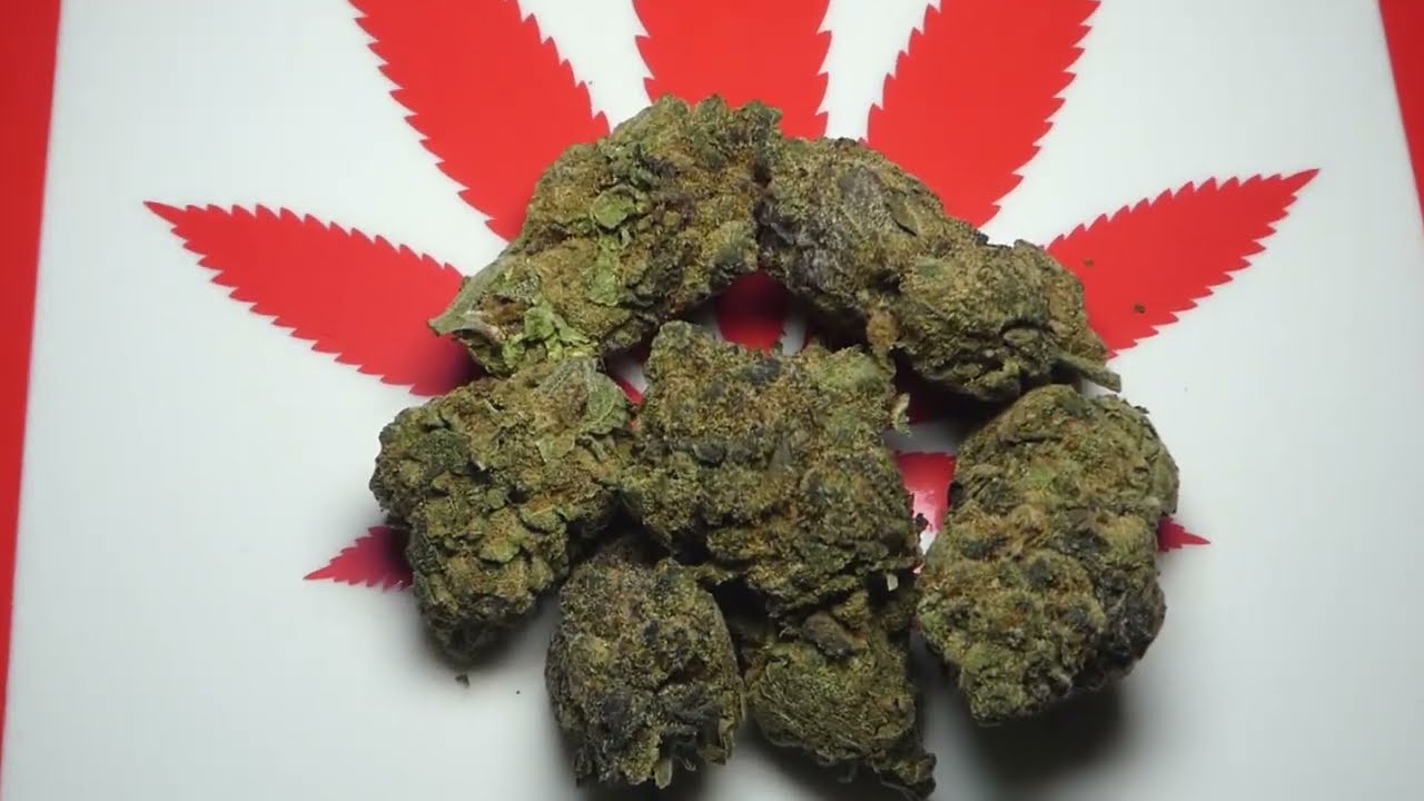 OMFG fr Garden Of Eden Farms (IG)