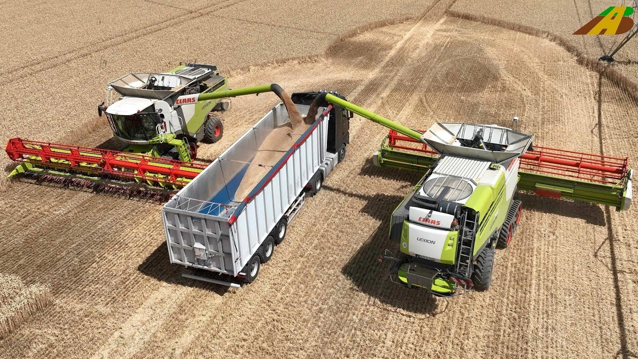 Getreideernte 2022 Weizen dreschen Claas Mähdrescher combine harvester wheat harvest Landwirtschaft