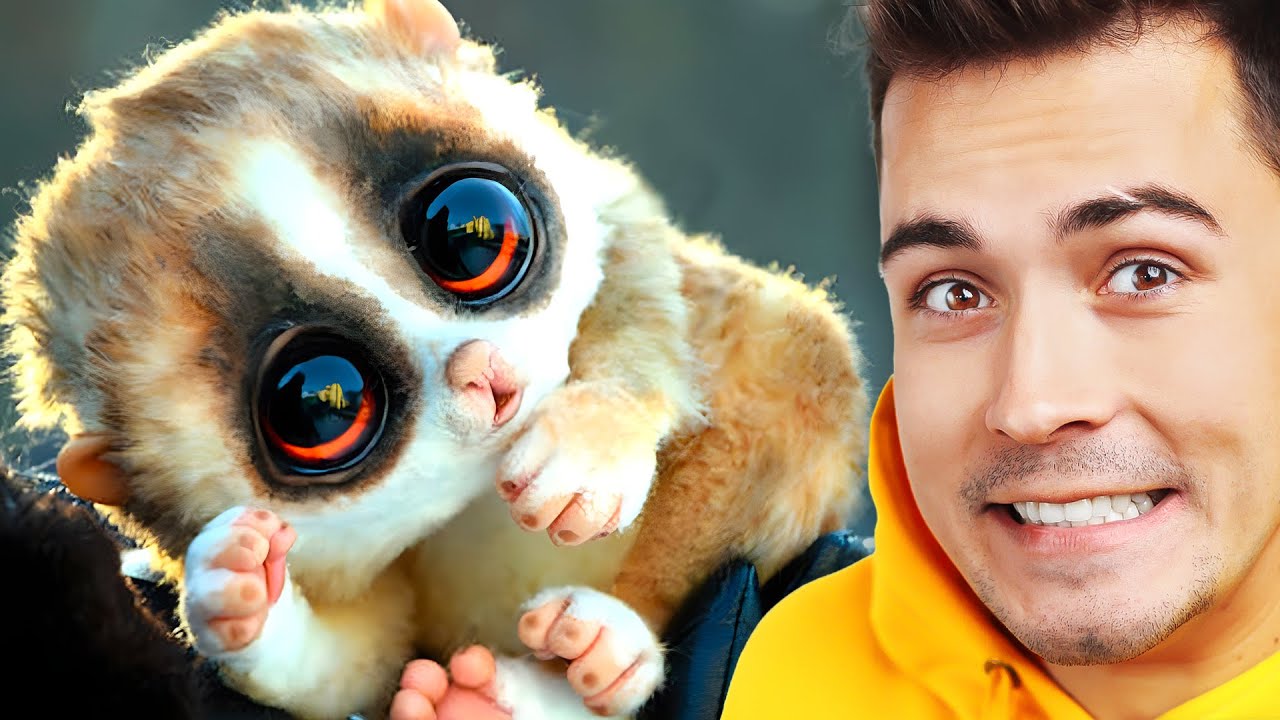 NAJSŁODSZE ZWIERZĘTA!