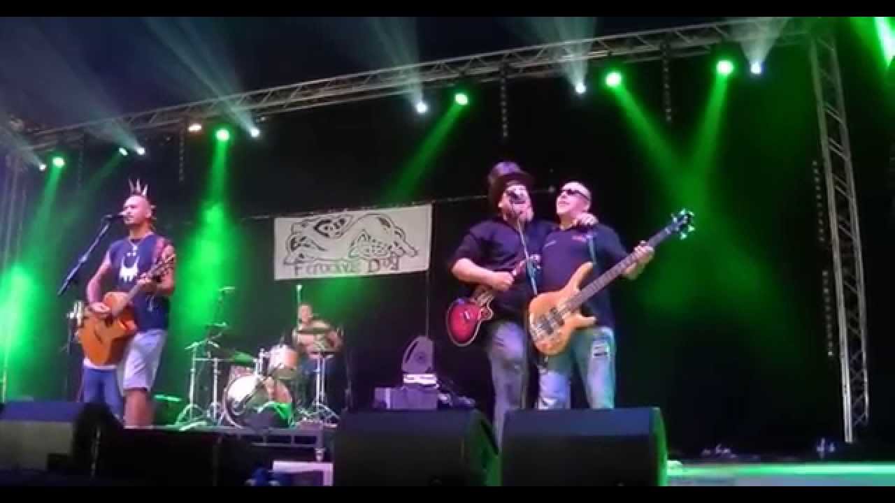 Paddy on the railway  -  Ferocious Dog - Beautiful Days Festival 2014