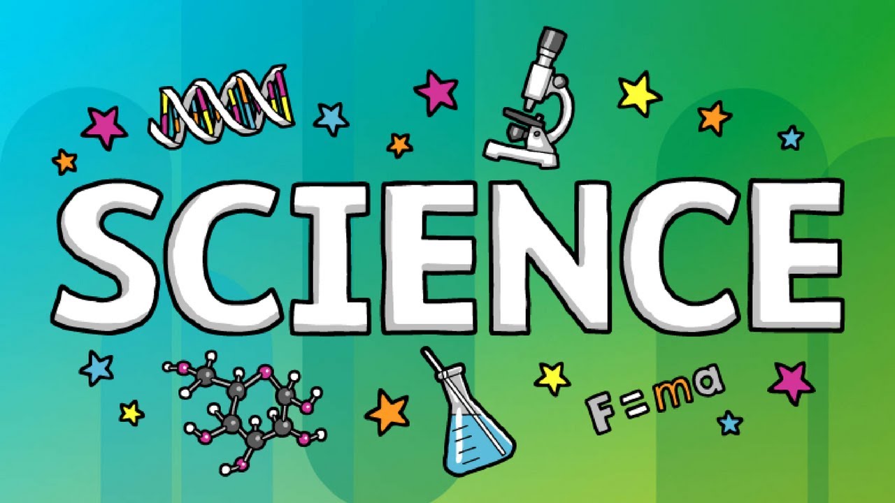 Science||Lesson #20||Reproduction In Insects And Amphibians