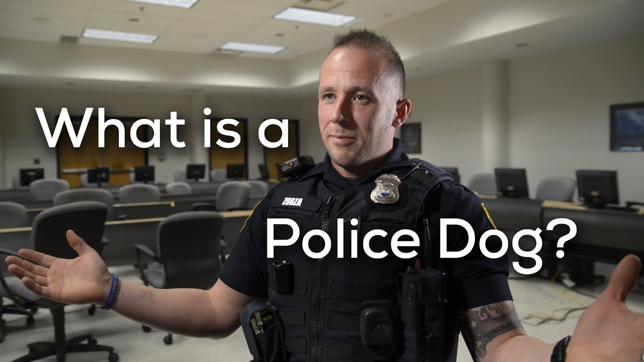 What Is A Police Dog?