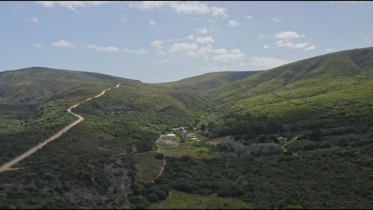 Planting trees in the Uilenkraal Valley - Forests for Life | Greenpop