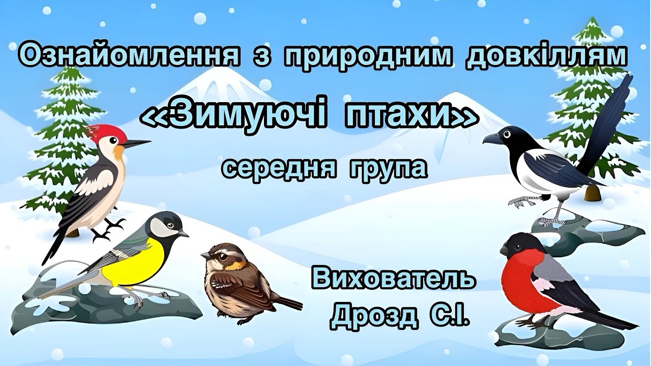 Ознайомлення з природним довкіллям «Зимуючі птахи». Середня група.Вихователь: Дрозд С.І.