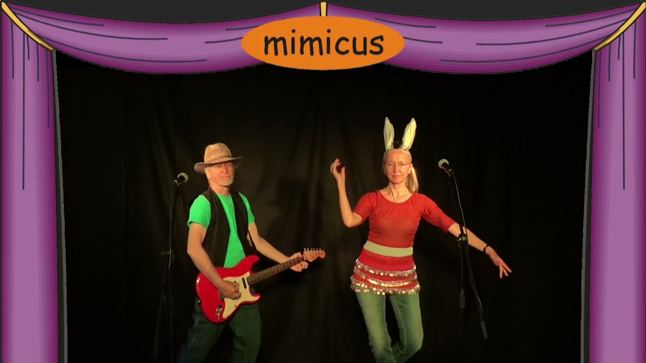 Das Lied der Fee. Kindermusiktheater mimicus