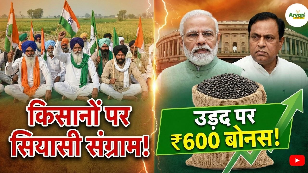Madhya Pradesh किसान कल्याण वर्ष 2026: ₹10,520 करोड़ योजनाएं, उड़द पर ₹600 बोनस #farming #kisannews
