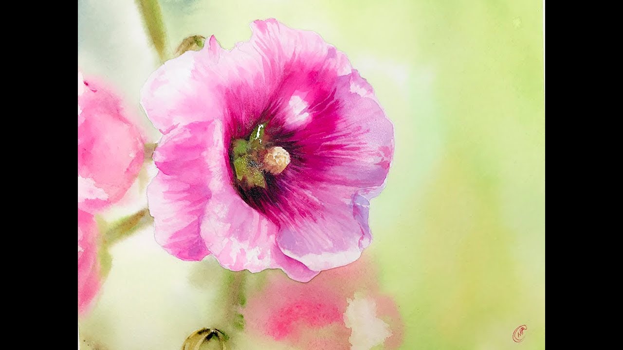Watercolor Hibiscus Flower Painting Demo