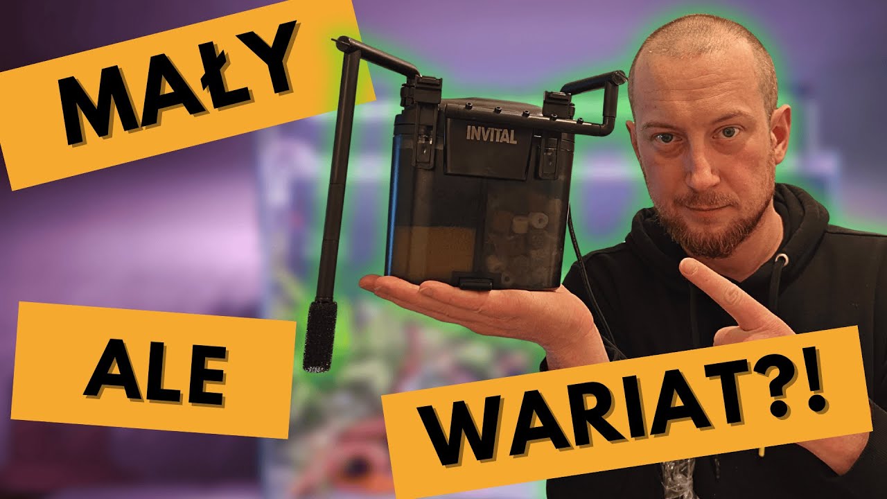 Fabryka to za mało! Ulepszam filtr INVITAL Expro 230