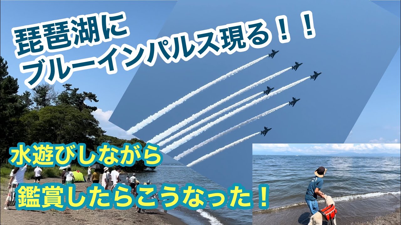 【緊急動画】急遽、滋賀高島ブルーインパルスを見に行きました！
