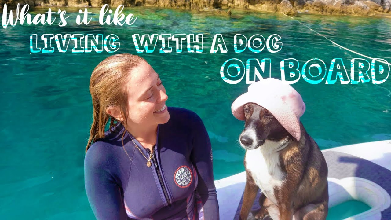 LIVING with a DOG ON BOARD - What's it REALLY LIKE || OceanJade Saillife