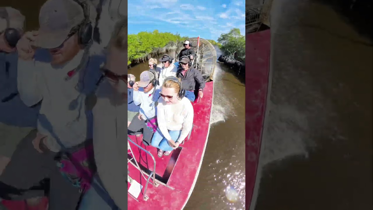 Do not go to the Everglades without doing an airboat tour! So much fun and lots of wildlife!