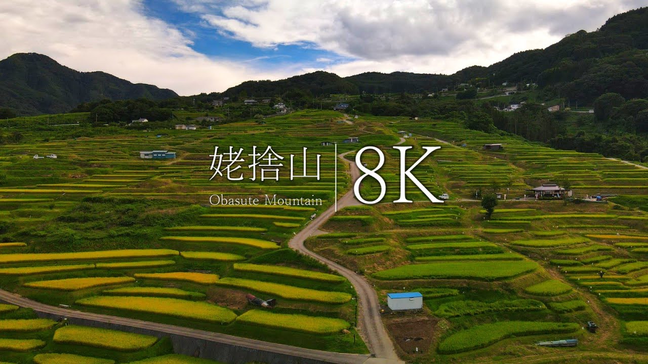 【日本三大車窓の絶景】姥捨山の棚田を訪ねて - Nagano's terraced rice fields Japan in 8K