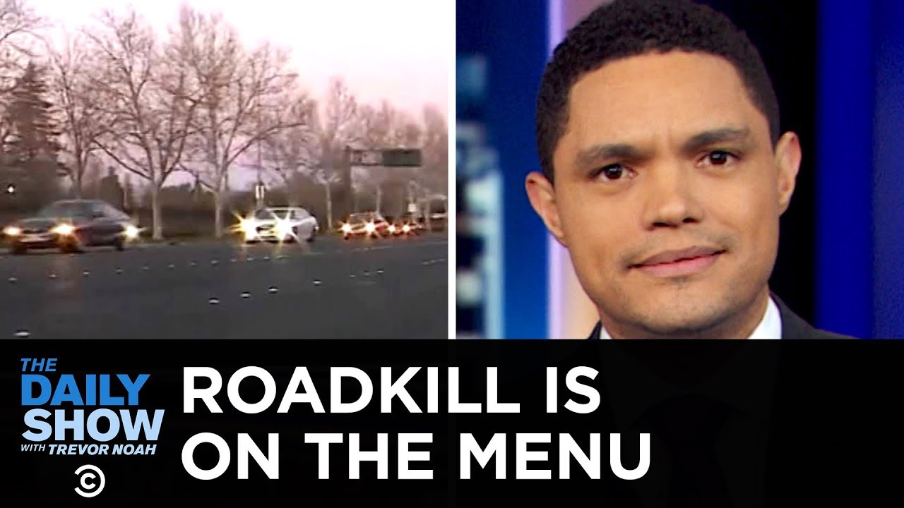 Mysterious “Blob” at a Zoo, Ancient Coffins in Egypt & California’s Roadkill Law | The Daily Show