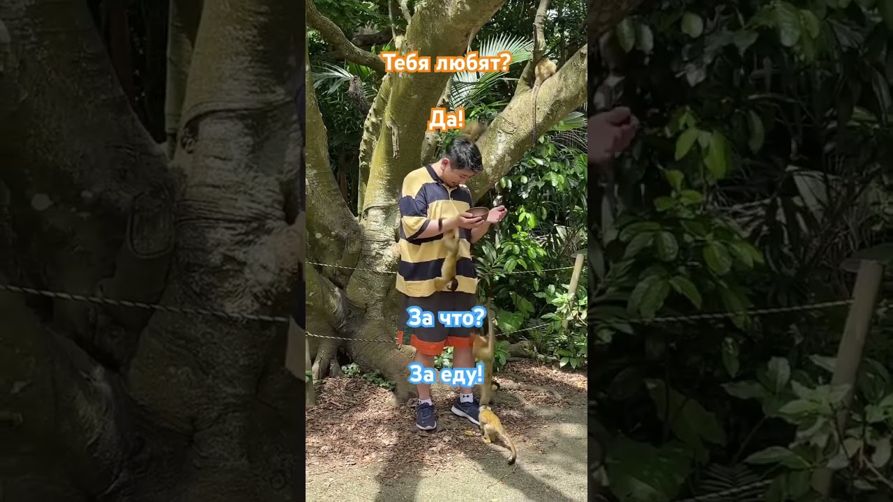 Любовь за еду