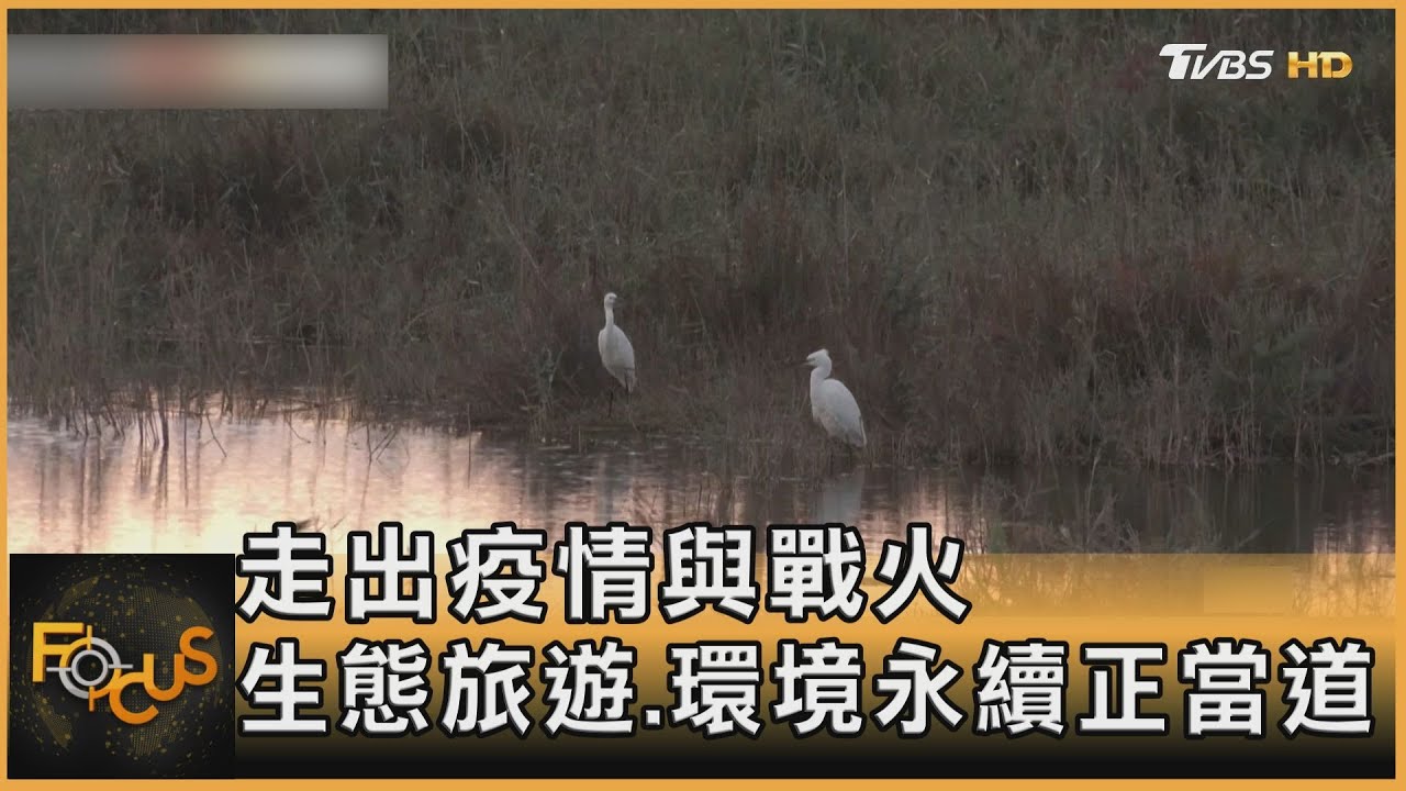 走出疫情與戰火 生態旅遊.環境永續正當道｜秦綾謙｜FOCUS全球新聞 20221229 @tvbsfocus