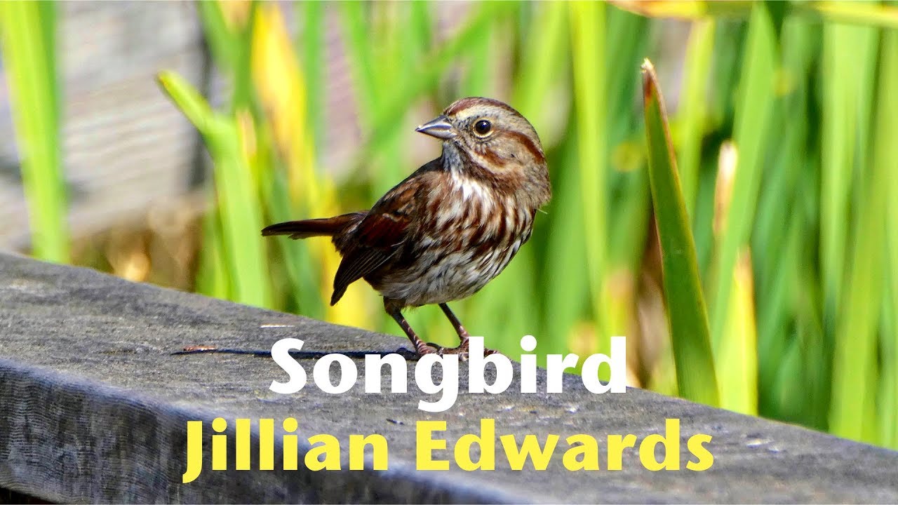 Jillian Edwards - Songbird (HD)