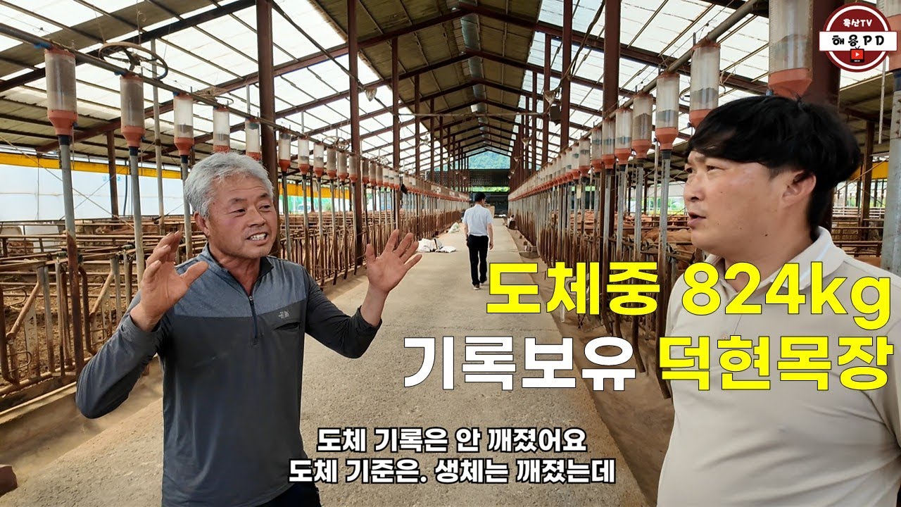 한우 도체중 최고기록 보유농장의 알콜발효사료를 이용한 자가배합사료 엿보기
