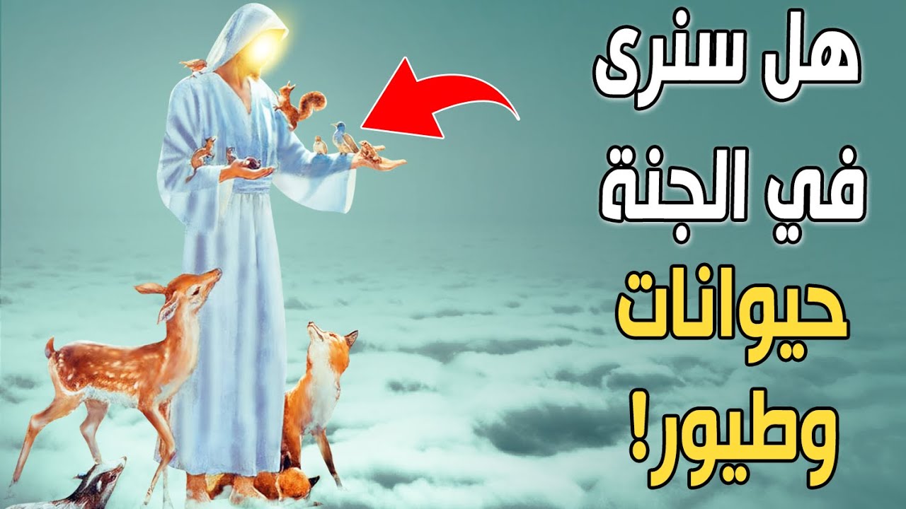 هل في الجنة ستوجد حيوانات وطيور مثل التي  نراها في الدنيا؟ لن تصدق الإجابة.. سبحان الله!