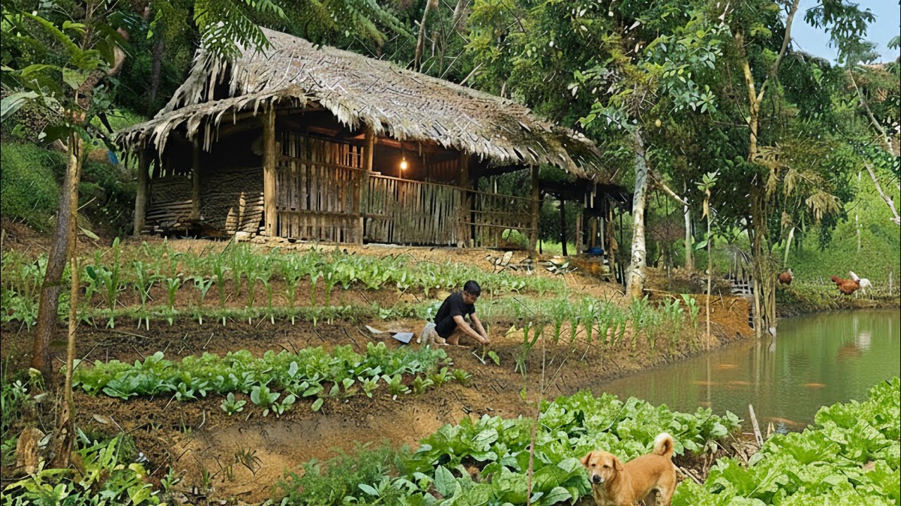 CEO completes construction of vegetable garden