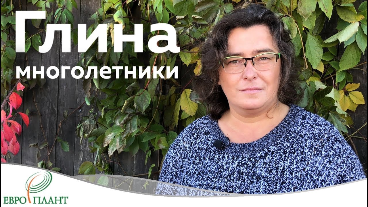 Многолетние цветы для тяжелых грунтов ( глины и тяжелые суглинки)