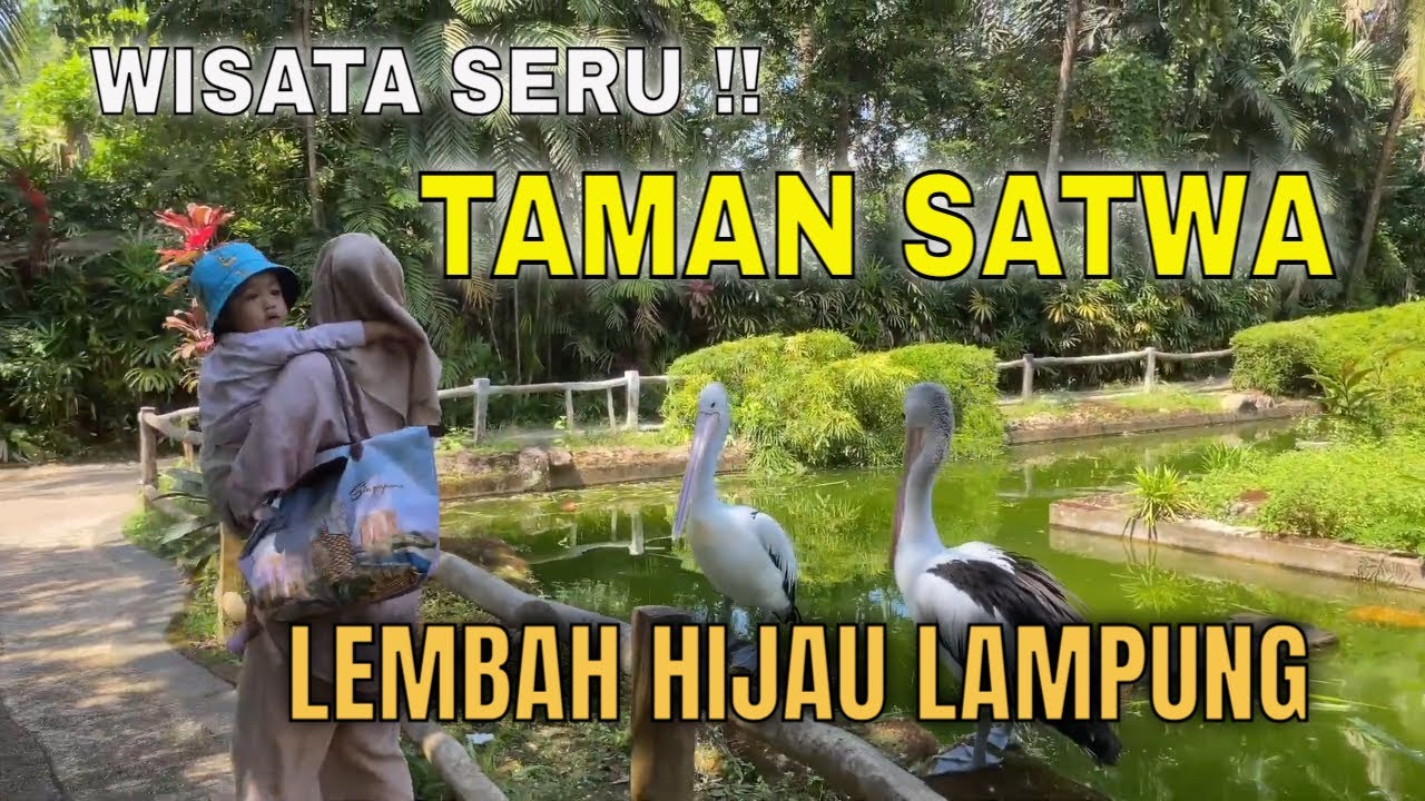 Wisata Seru Taman Satwa Lembah Hijau Lampung