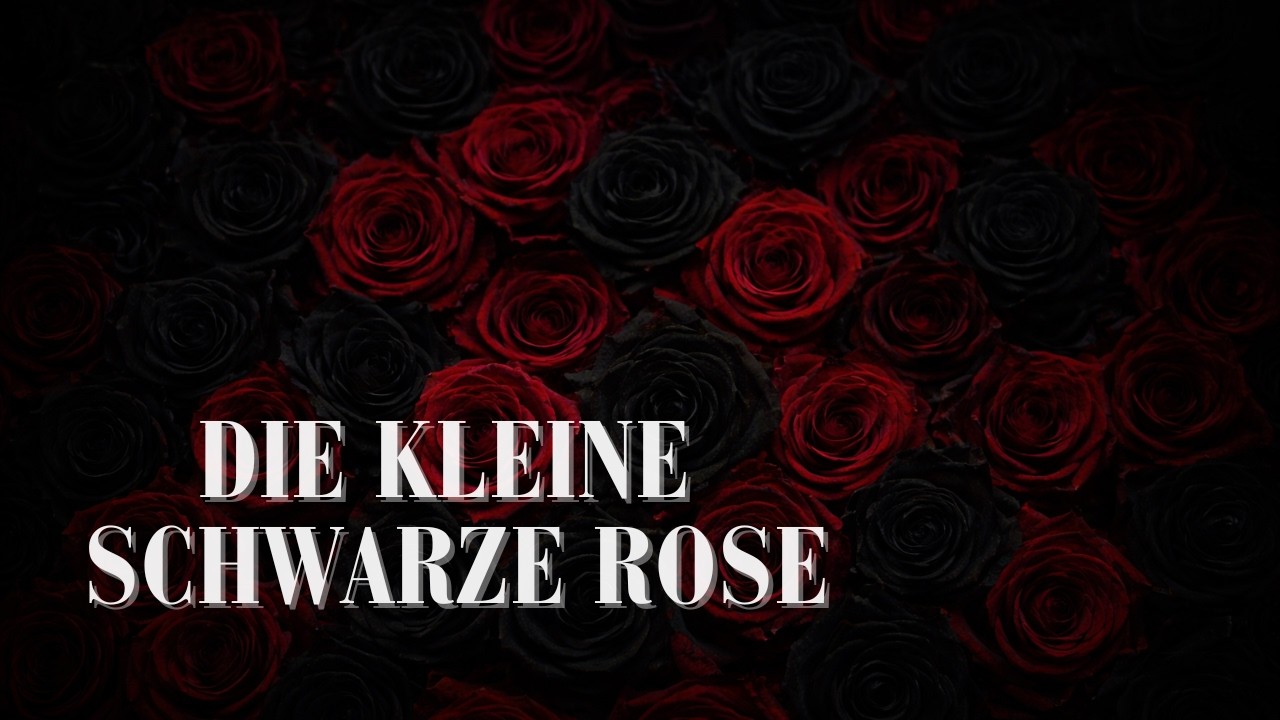 Die kleine schwarze Rose – Epische irische Ballade | Aubrey de Vere | Callum Boucicault