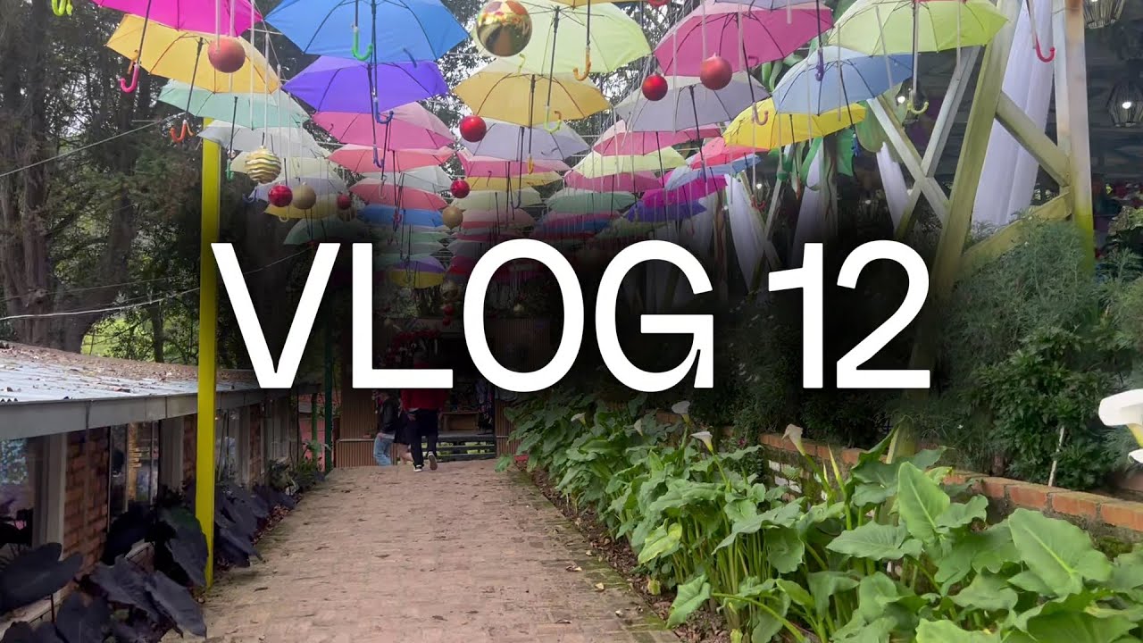 mi viaje a chinacota (COL) y otras cositas :) //  VLOG 12 OMG