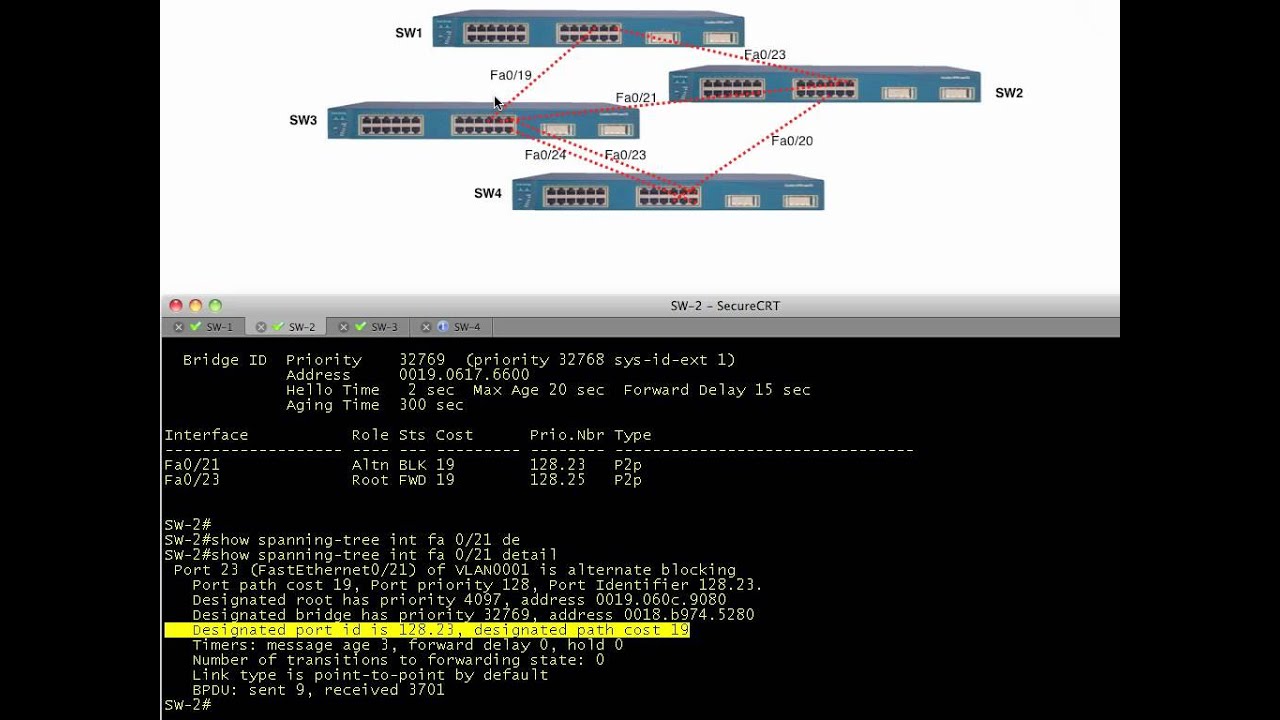 Spanning-tree, intermediate level
