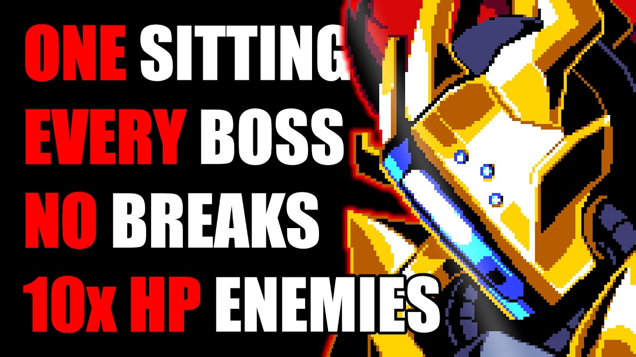 How I Beat EVERY 10x HP INFERNUM BOSS in ONE SITTING (Terraria)