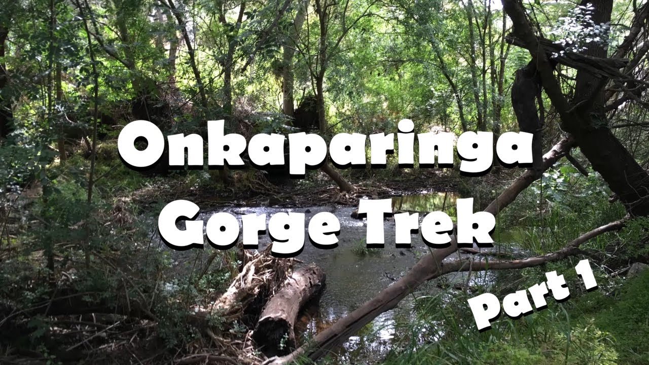 Onkaparinga Gorge Trek - Part 1