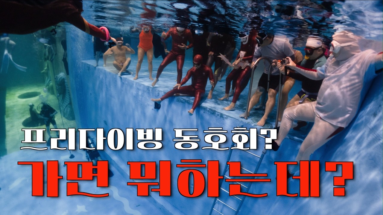 프리다이빙을 함께할 버디를 찾는 당신에게
