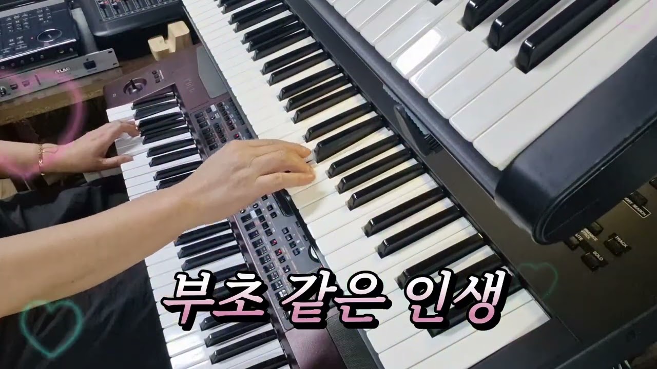 #부초같은인생 🎉🎉🎉🎶🎶🎶😄😄😄김용임 🩷🩷🩷