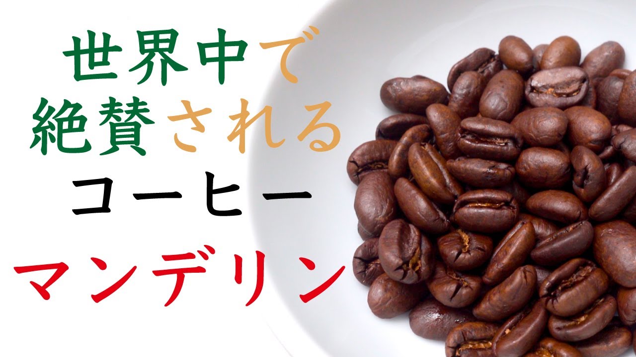 【世界中が注目の産地🔰】うまいマンデリンの良さと味わいを解説_最新のとくべつ産地|Nif Coffee（ニフコーヒー）