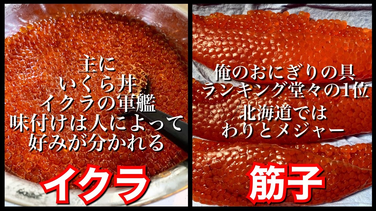【筋子作り】絶対醤油漬けより塩筋子！！おにぎりの具最強説