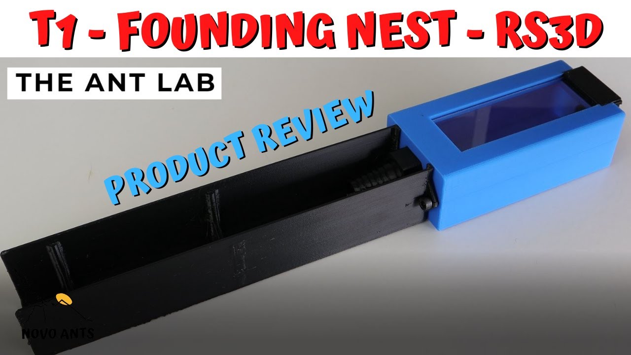 T1 Founding Nest - RS3D - The Ant Lab - Ant Keeping