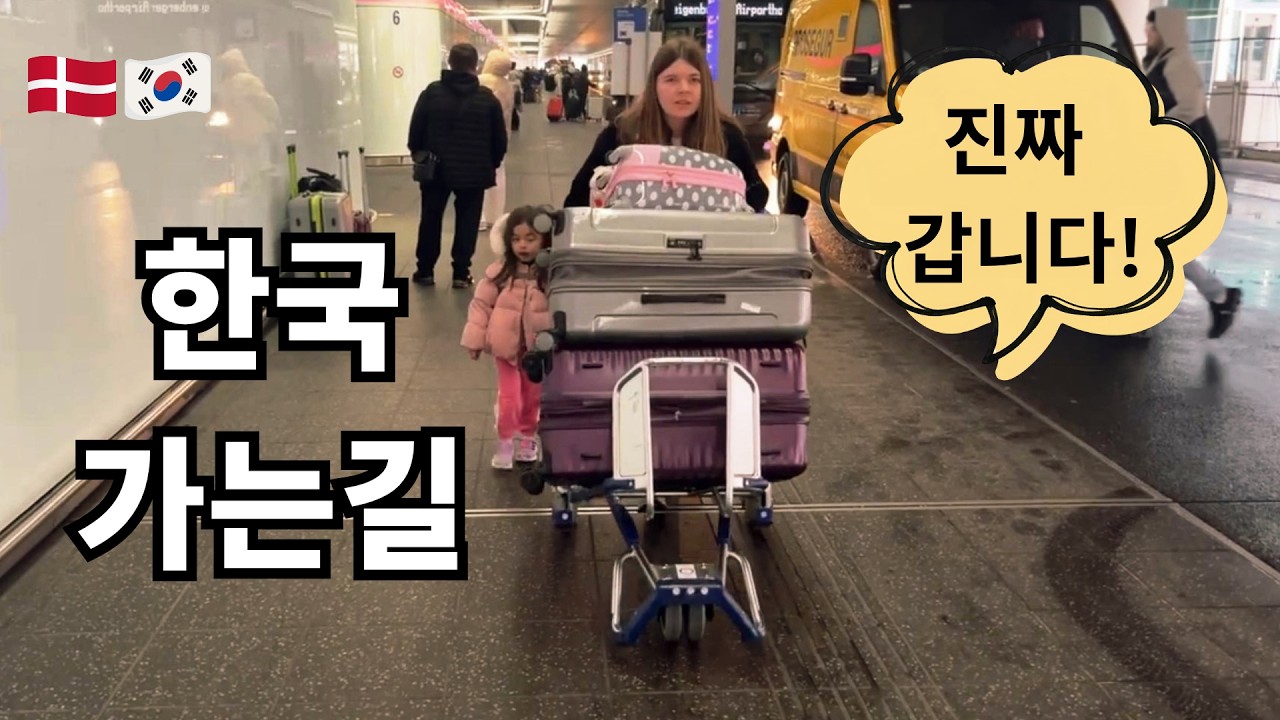독일에서 한국으로 | From Germany to Korea #7 : 한국으로 가는 길