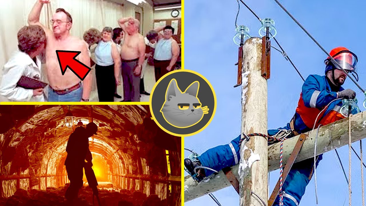 30 Curiosidades Que No Sab&iacute;as En 10 Minutos | 18
