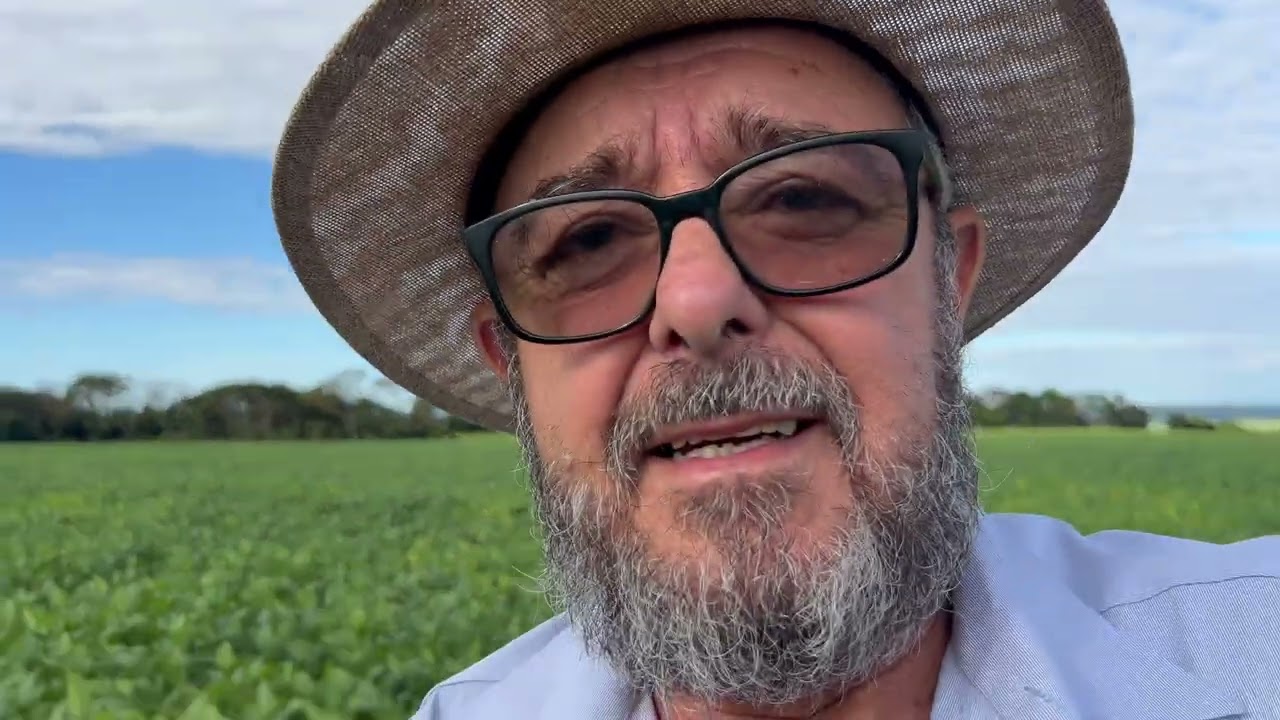 GGdeGoias Mostrando a lavoura de soja.