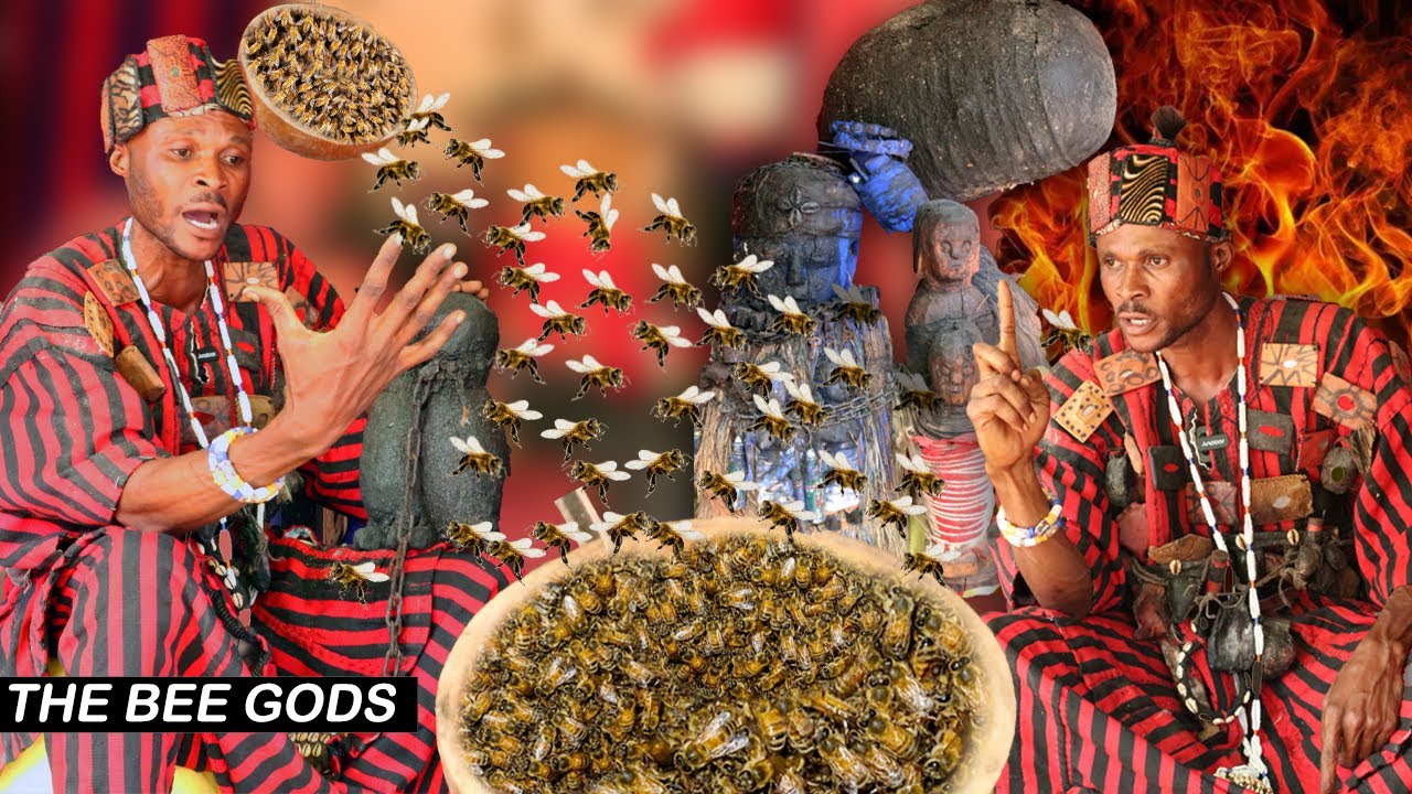 Torgbui Invoke The Bees On A Live Show || The Bee Gods.