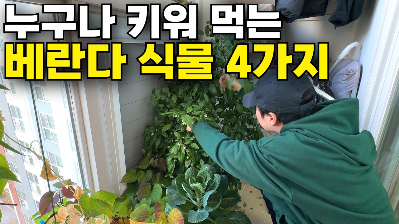 4.5평 속 베란다 텃밭 1년 해보고 결국 정리한 이유(키워 먹은 자취 야매요리)