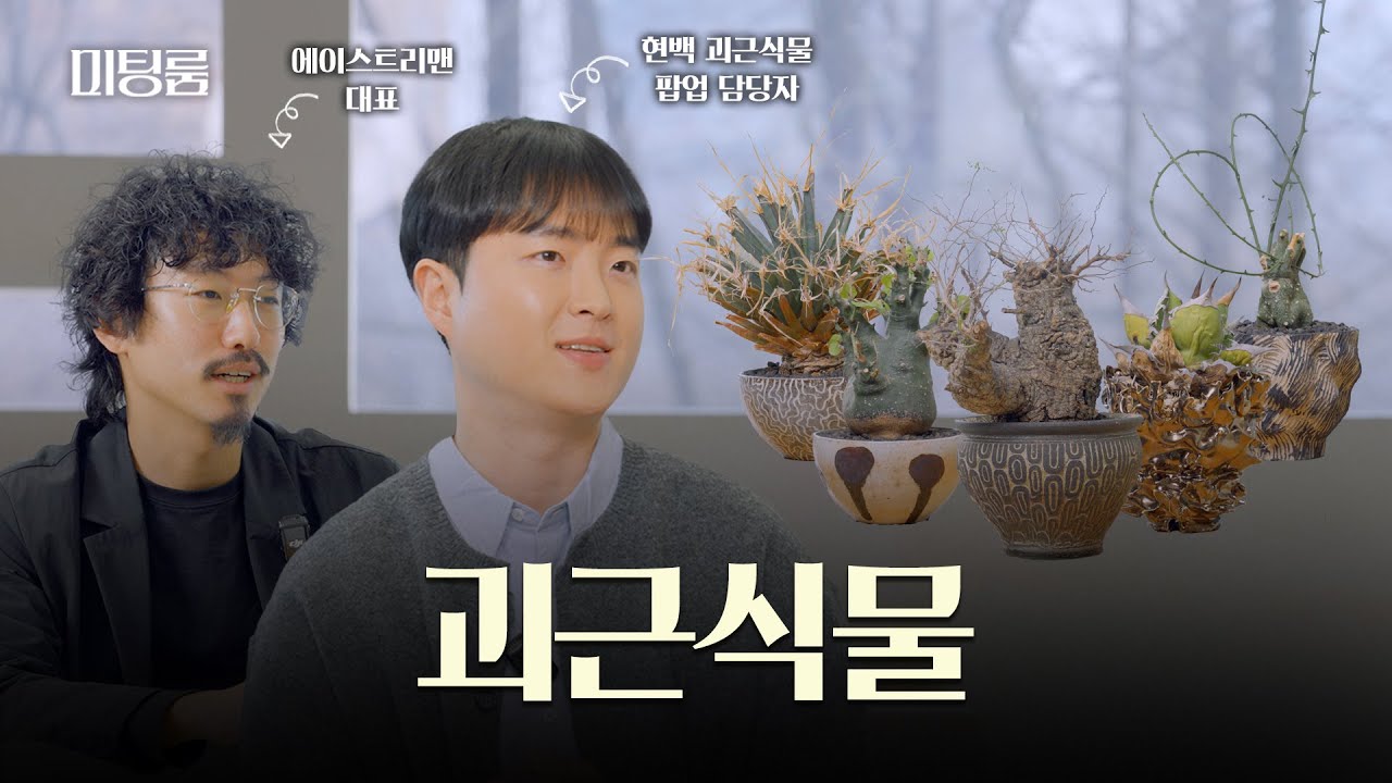 괴근식물은 뭘까? 왜 인기 있을까?
