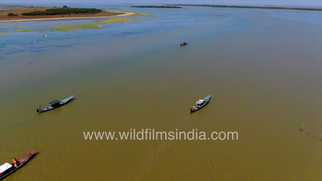 Stunning view of Chilika Lake Odisha Dolphin and bird habitat