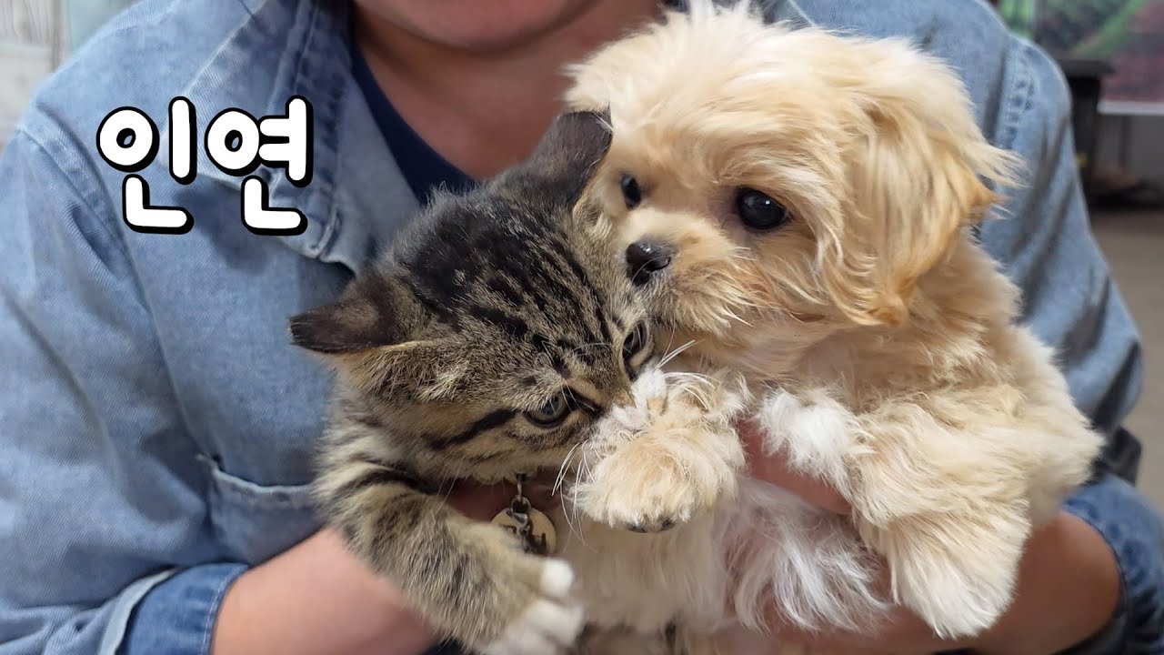 정말 궁금했습니다