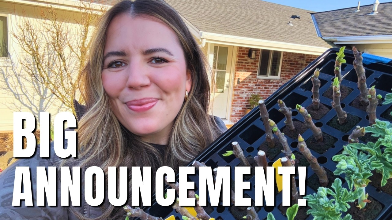 Winter Seed Sowing, a MASSIVE Fig Prune & My Big Show Announcement!