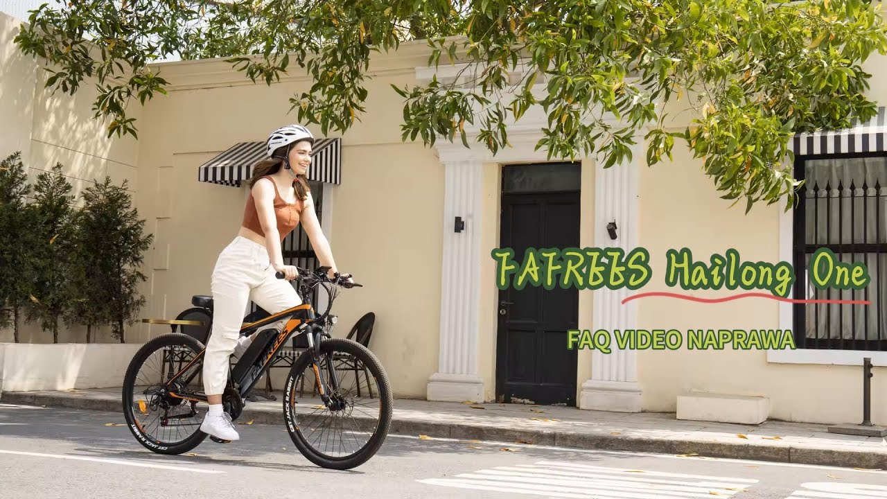 THETOPMARK FAFREES Hailong One - Polish version