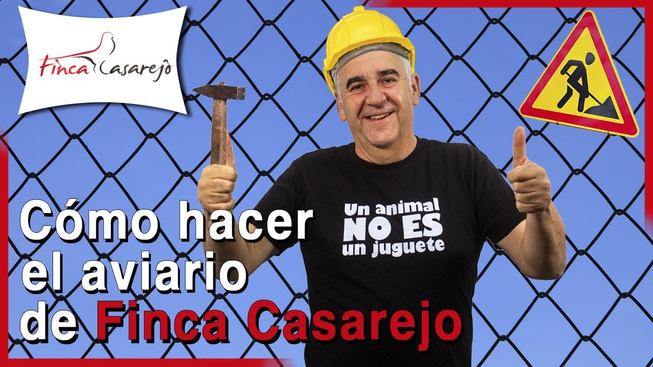 ¿Cómo hemos construido el aviario de Finca Casarejo? 🛠️