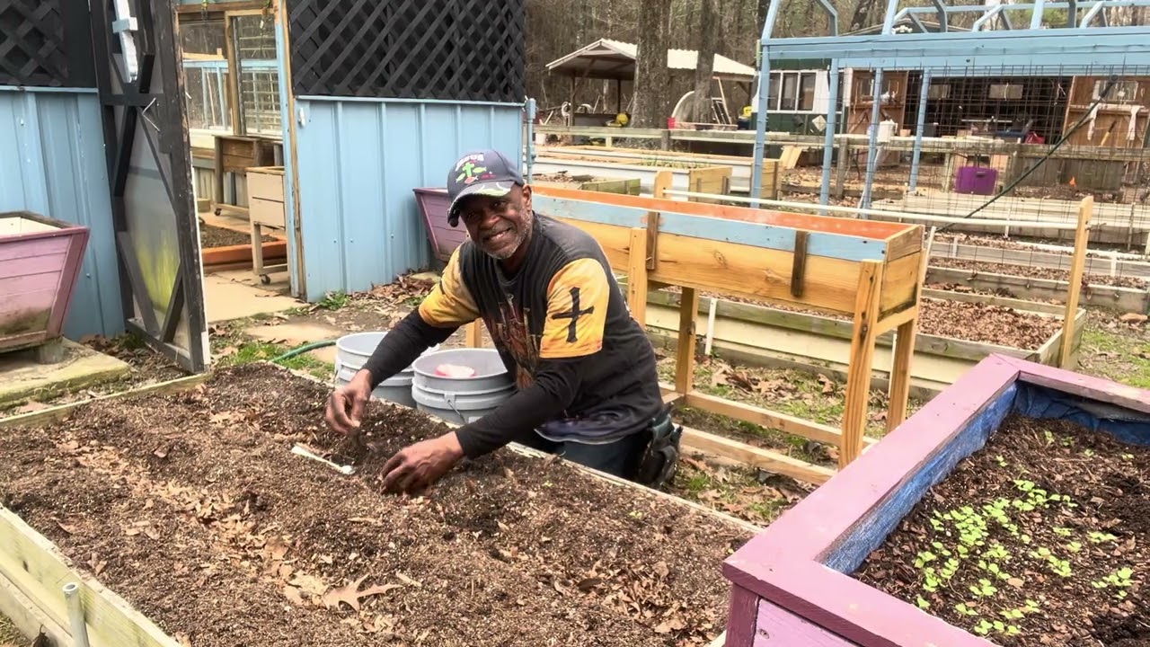 Transplanting, praying, and preaching ￼