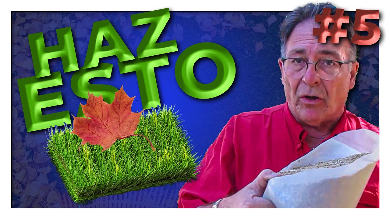 ¿Qué hacer con el CÉSPED en OTOÑO?🍁🌳 #5